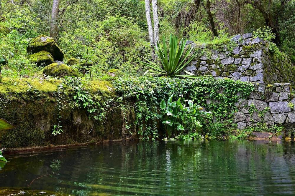 Pure Monchique Hotel - Villa Termal Spa Resort - By Unlock Hotels Esterno foto